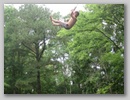 swing_cosmo_good.jpg
