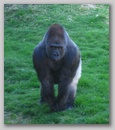 zoo_006.jpg